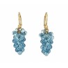 Blue Grapes
